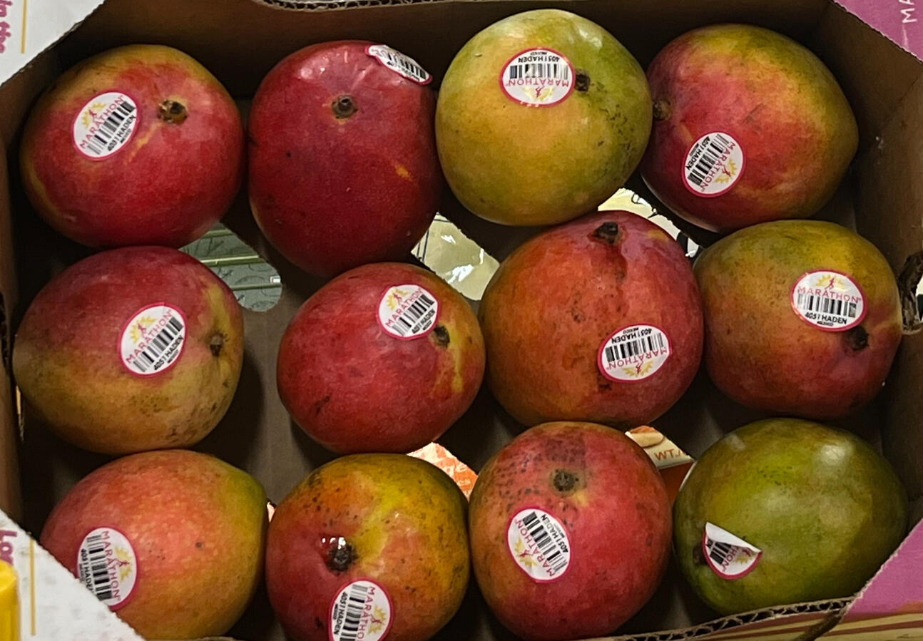 Marathon Mangoes $ 15.99 per box